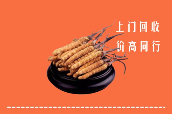高价求购：邯郸回收散虫草