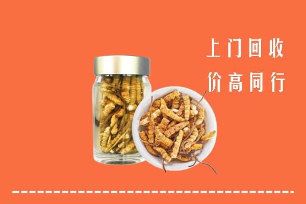 邯郸回收冬虫夏草